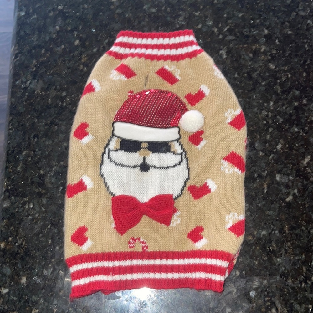 Small sweater for dogs